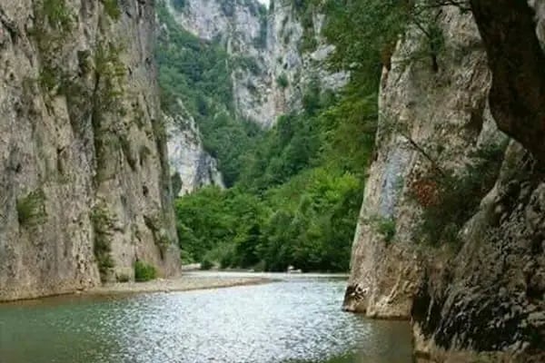 Topçuoğlu Av Ve Arı Malzemeleri - Resim 7
