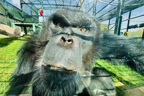 Hayvanat Bahçesi Zoo - Resim 17