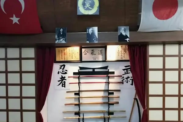 Konya MMA Krav Maga Jiu Jitsu Muay Thai K1 Kick Box Boks UFC Judo Grapling Niten Dojo Spor Kulübü - Resim 17