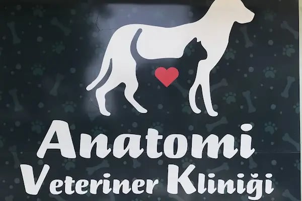 Anatomi Veteriner Kliniği - Resim 17