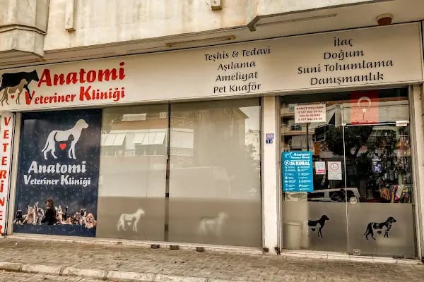 Anatomi Veteriner Kliniği - Resim 20