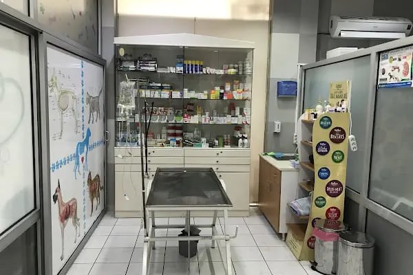 Anatomi Veteriner Kliniği - Resim 7