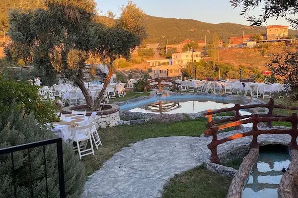 Üzüm Garden - Resim 11