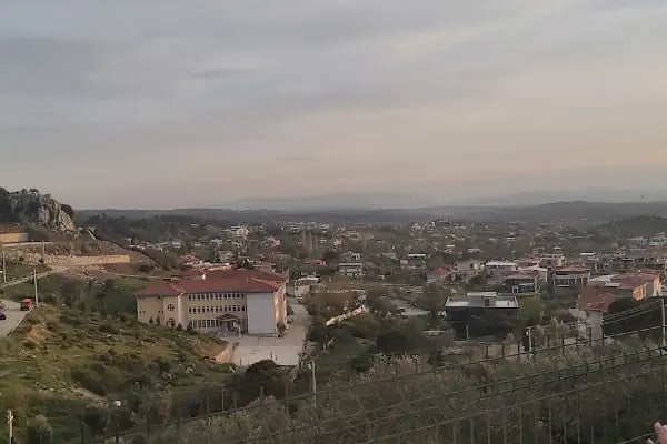 Üzüm Garden - Resim 7