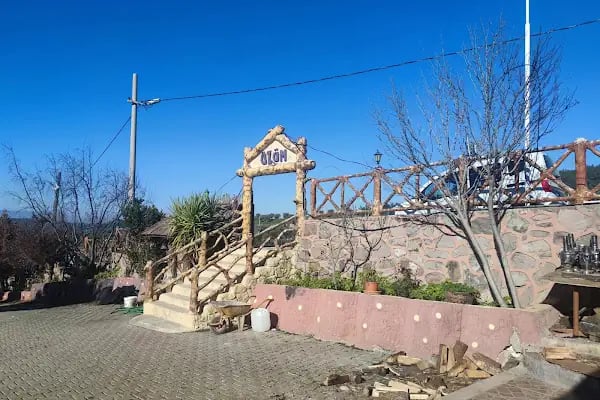 Üzüm Garden - Resim 16