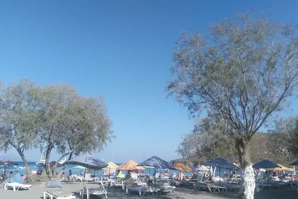Tınaztepe Sitesi - Resim 5