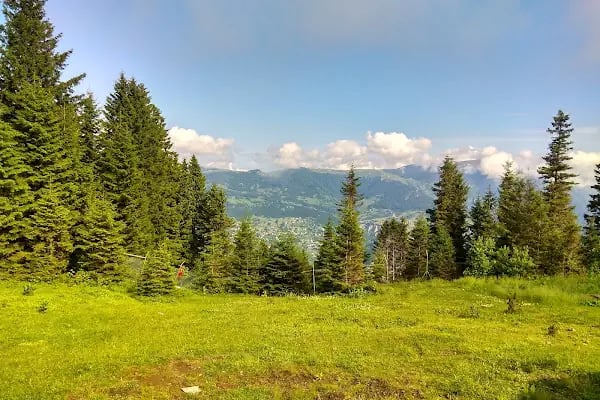 Trabzon Doğu Karadeniz Gençlik Kampı - Resim 7