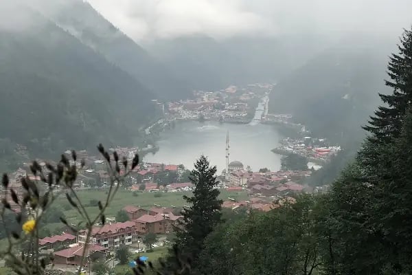 Trabzon Doğu Karadeniz Gençlik Kampı - Resim 9