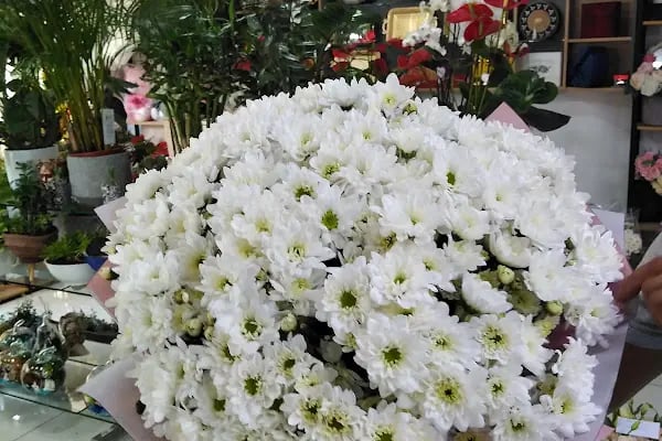 Antalya Çiçekçi - Antalya Çiçek Siparişi Gülistan Çiçekçilik - Resim 9