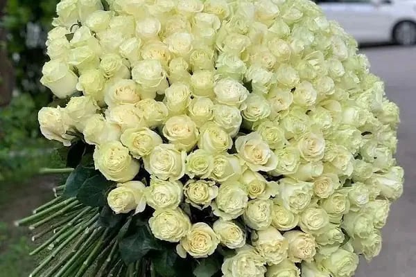 Bodrum Yalıkavak Çiçekçilik - Resim 5