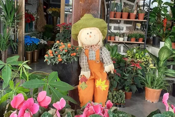 Bodrum Yalıkavak Çiçekçilik - Resim 11
