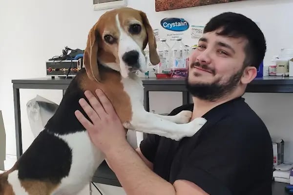 Mersin VETLife Veteriner Kliniği - Resim 8