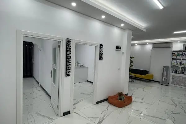 La Fontaine Veteriner Kliniği-Nilüfer Veteriner-Acil Veteriner-7/24 Veteriner-Kedi Kısırlaştırma-Köpek Kısırlaştırma-Aşılama - Resim 11