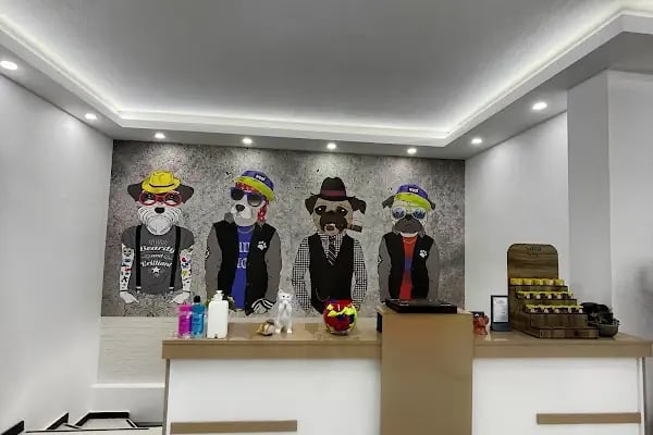 La Fontaine Veteriner Kliniği-Nilüfer Veteriner-Acil Veteriner-7/24 Veteriner-Kedi Kısırlaştırma-Köpek Kısırlaştırma-Aşılama - Resim 7