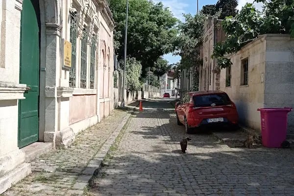 Prens Sabahattin Türbesi - Resim 2