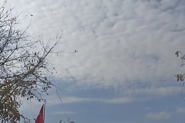 T.C. Sosyal Güvenlik Kurumu Başkanlığı - Resim 7