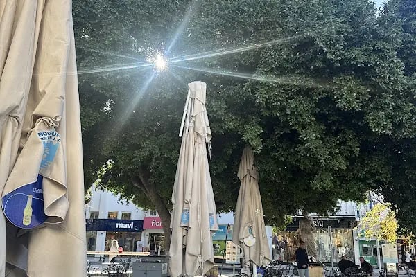 Çarşı Cafe - Bodrum Belediye A.Ş. - Resim 5