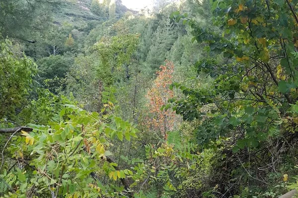 Sunturas (Çağlarca) Şelalesi - Resim 12