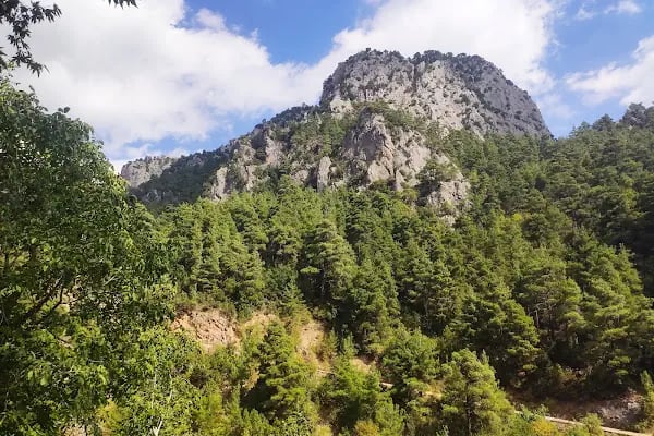 Sunturas (Çağlarca) Şelalesi - Resim 4