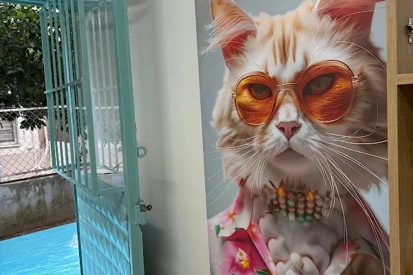 Hopyap Veteriner Kliniği - Resim 10