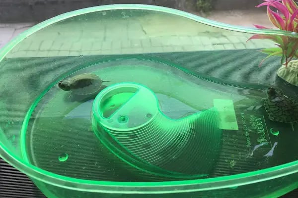 Penguen Petshop güneşli - Resim 18