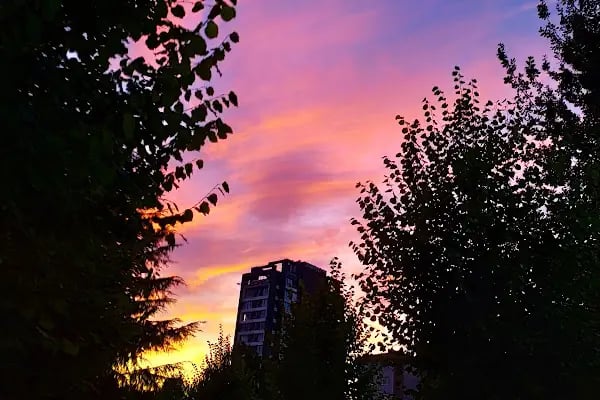 Kaybedenler Kulübü Parkı - Resim 17