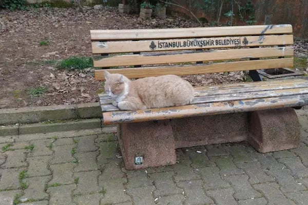 Kaybedenler Kulübü Parkı - Resim 7