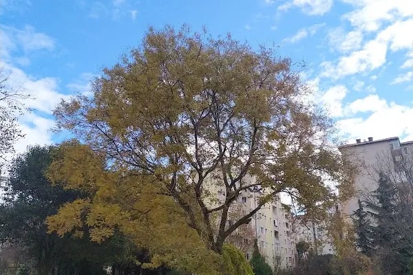 Kaybedenler Kulübü Parkı - Resim 2