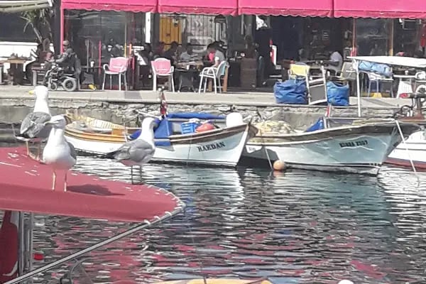 ANI FOTOĞRAF - Resim 4