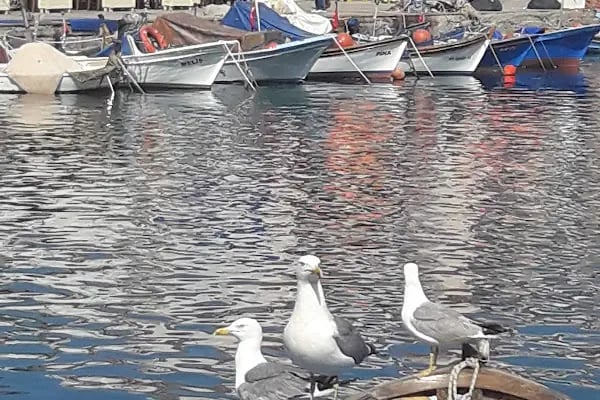 ANI FOTOĞRAF - Resim 10