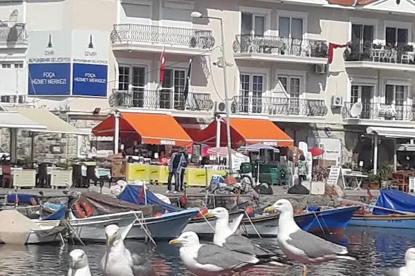 ANI FOTOĞRAF - Resim 3