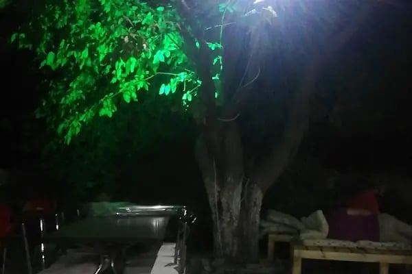 Ağaç Altı - Resim 10