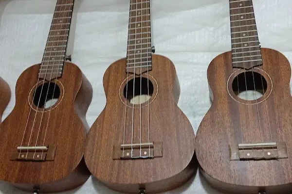 ÇUKUROVA MÜZİK ALETLERİ - Resim 5