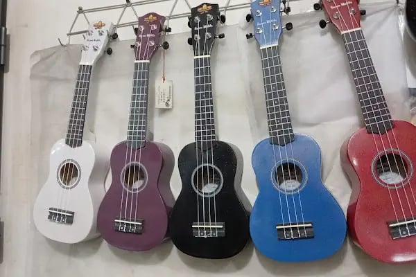 ÇUKUROVA MÜZİK ALETLERİ - Resim 11