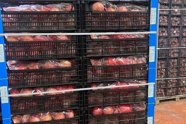 BALTU TARIM SOĞUK HAVA DEPOSU - Resim 5