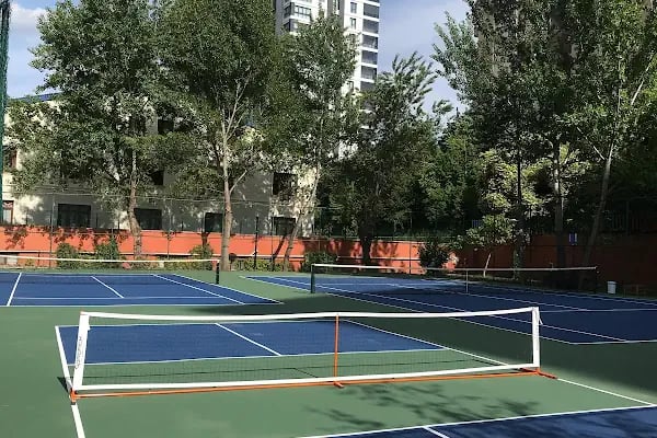 Talay Tenis Akademisi - Resim 2