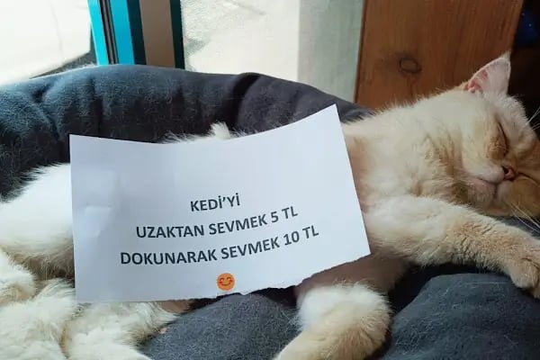 İkra Kitabevi Konya - Resim 7