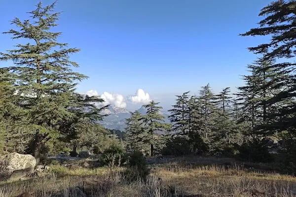 Sivri Dağ Milli Parkı - Resim 16