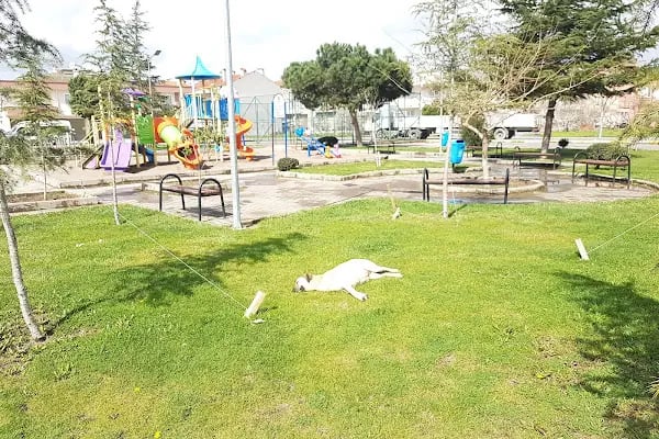 Altı Eylül Belediyesi Sağlıklı Yaşam Parkuru - Resim 4