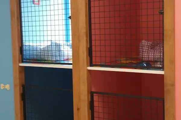 Sos Pet Shop - Otel - Resim 7
