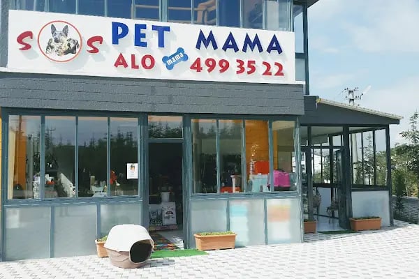 Sos Pet Shop - Otel - Resim 19