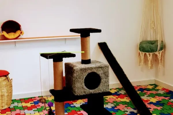 Sos Pet Shop - Otel - Resim 20