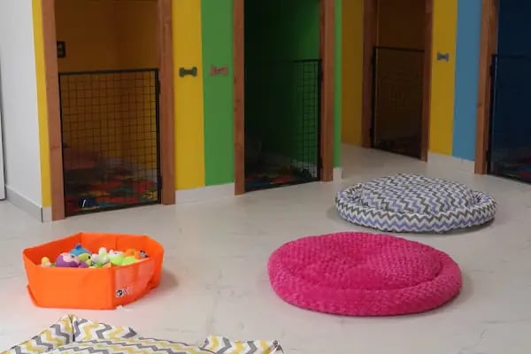 Sos Pet Shop - Otel - Resim 13