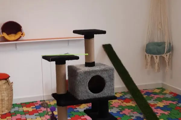 Sos Pet Shop - Otel - Resim 8
