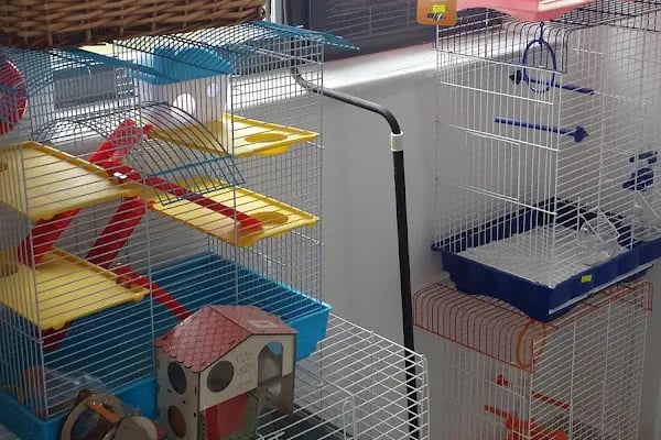 Sos Pet Shop - Otel - Resim 9