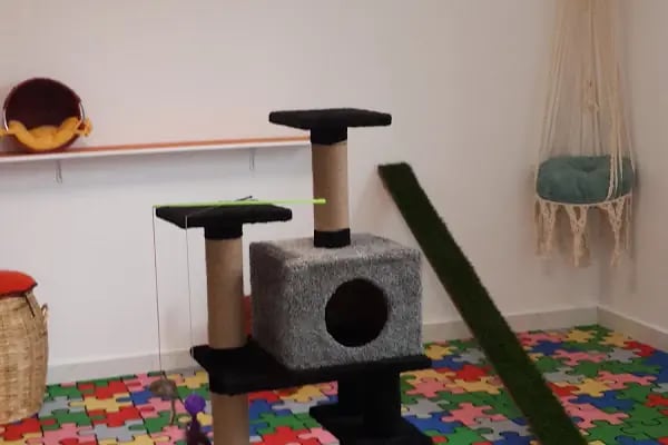 Sos Pet Shop - Otel - Resim 17