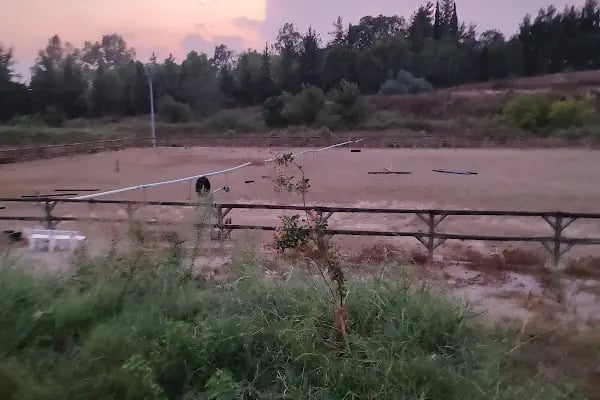 Çukurova Üniversitesi Atlı Spor Kulübü - Resim 6