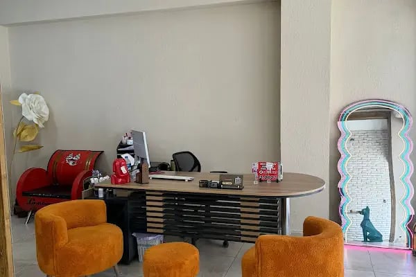 Özel Bayraklı Sürücü Kursu - Resim 4