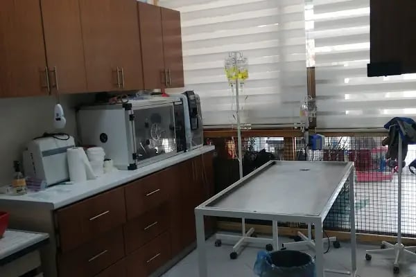 Vetmingo Veteriner Kliniği - Resim 7