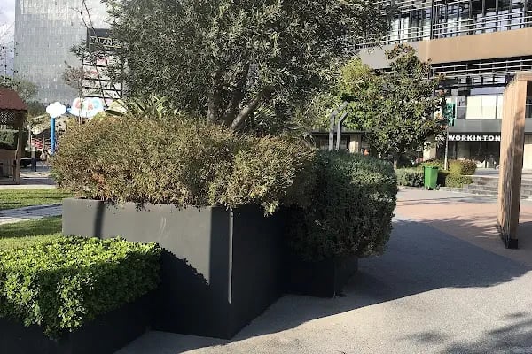 Bağkafe Mahmutbey Sosyal Tesisleri (Bağcılar Belediyesi) - Resim 10